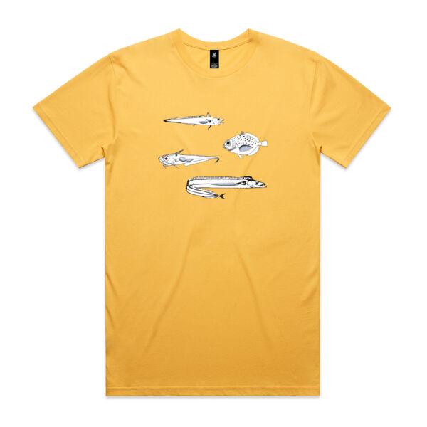 The anatomy of a swim bladder Thumbnail