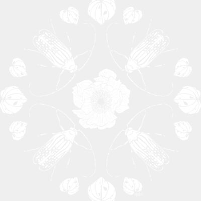 Huhu Bug Mandala Thumbnail