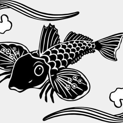gurnard digitees Thumbnail